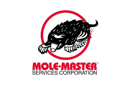 Material value: Expecting the unexpected in cement silo cleaning