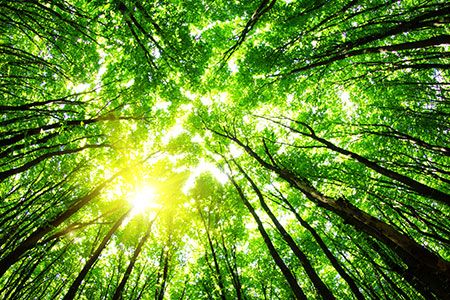 PCA demonstrates cement industry greenhouse gas reductions with new EPDs