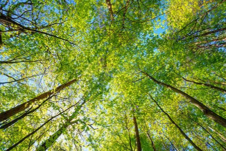 Portland Cement Association and two member companies named EPA ENERGY STAR Partners of the Year for 2023