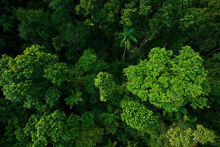 PCA creates carbon neutrality roadmap for cement and concrete industry